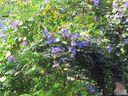 IMG_0832.jpg
