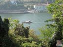 IMG_0833.jpg