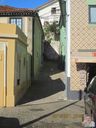 IMG_0867.jpg