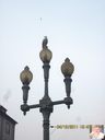 IMG_0902.jpg